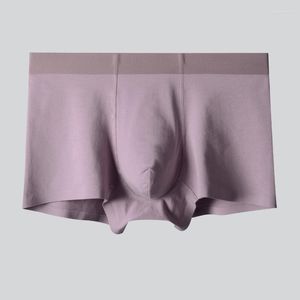 Sous-vêtements en gros personnalisés de haute qualité respirant pur coton hommes boxer court sous-vêtements