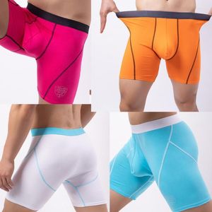 Sous-vêtements en gros sous-vêtements pour hommes pantalons de sport décontractés jambe anti-usure allongée taille moyenne boxeur short en coton respirant élastique