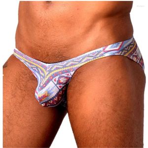 Sous-vêtements WOXUAN Marque De Mode Homme Sous-Vêtements Hommes Sexy Impression Coton Bulge Mini Slips Lingerie Style Chinois Sans Soudure Jockstraps Culottes