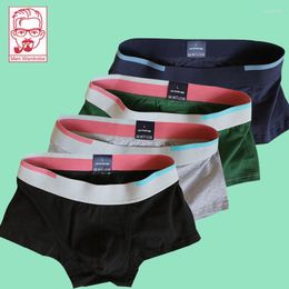 Sous-vêtements jeunes hommes sous-vêtements coton sac cadeau taille moyenne boxeurs Clash couleur personnalisé mode chien impression Shorts