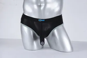 Sous-sliant la jeunesse des éléphants nasme Briefs pour les jeunes gays ouverts sous-vêtements mince à moitié transparent culotte de tangas sexy de Tangas de hombre