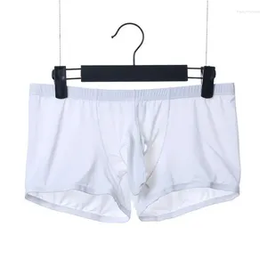 Onderbroek Jeugd Ijs Olifant Neus Boxershorts Voor Mannen Homo's Sexy Fun JJ Verhoogd Ei Ingrijpen Split Bodem Ademend Pantie