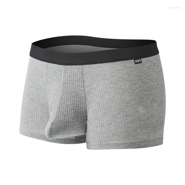 Sous-vêtements Jeunesse Fil Agrandi Sac Culotte Pour Hommes U Convexe Éléphant Nez Bas Pantalon Absorbant La Sueur Respirant Boxer Sous-Vêtements