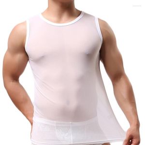 TRANSSEMBLES SEXY MENS MESH T-shirt transparent Singlets Fitness Fitness Sans manches TEE TE-SE-SEGLAGE SOUS-WEAR CAMISETA Chemises