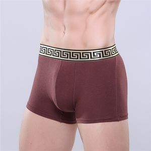 biancheria intima 2023 Designer di marca Mens Boxer uomo Mutande Slip per uomo UnderPanties Boxer sexy Intimo di cotone Pantaloncini Uomo Biancheria intima traspirante di lusso