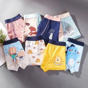 Ropa interior 3pcs/lote de dibujos animados de dibujos animados para niños