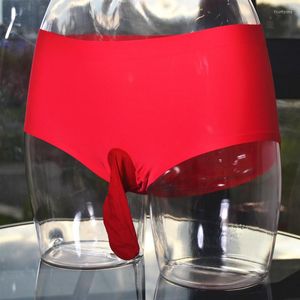 Sous-vêtements pour hommes sous-pants de luxe SIISY PENIS SLIEVE BREUTES ÉLÉPHANTS NOURS FEMMES SAVEUR SAVEL PANTY MAN BALL POUPE MIDE-RISE Briefes Briefes Tiroirs Kecks Thong X1AQ