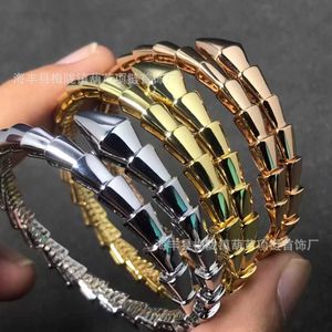 Unieke charme bulgarly -armband ontworpen voor geliefden hoge slangvormige vloeiende vrouwen met een highteale volledige diamant ISVI