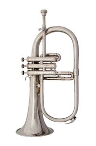 Flugelhorn Bell Bb, instruments de musique professionnels plaqués argent, uniques, avec étui, pièce de montage