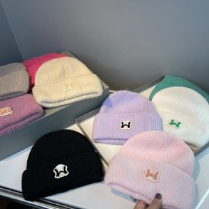 Deisgner unisexe bonnets en peluche lettre chapeau en laine coréen décontracté Double tricoté lapin cheveux chapeau chaud chapeau froid chapeau 16-19