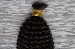 Extensions de cheveux tressés brésiliens non transformés Kinky Curly Bulk Hair 100g 1PCS tressage en vrac sans attachement Crochet Braids Hair Bul8797143