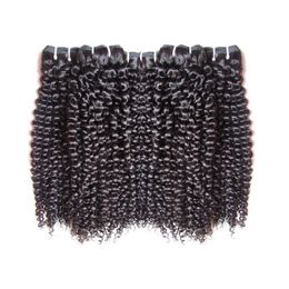 Non transformés Kinky Curly Cuticle Aligned Hair Bundles de cheveux humains vierges brésiliens 5Pcs 500g Lot 10 pouces à 30 pouces coupés à partir d'un cheveu de donneur
