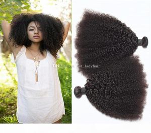 Non transformés bruts Afro Kinky Hair Weave 3Pcs Lot 10quot30quot Couleur naturelle Extensions de cheveux humains brésiliens Afro Kinky Curly Ha8695465