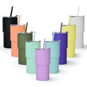 UPS 17oz Gobelets réguliers en acrylique Gobelet en acrylique à double paroi avec couvercle et pailles colorées Tasse en plastique réutilisable Tasse de voyage colorée DIY 8.25