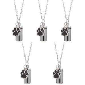 Urnes 5 pièces suspendus chien cendres urne collier pour animaux de compagnie souvenir mémorial propriétaire Pot cadeau animal de compagnie