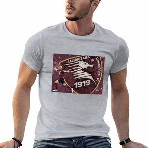 Us Salernitana Calcio 1919 Sime Verdi 10 Salerno football Serie A T-Shirt noirs uni vintage t-shirts pour hommes graphique P870 #