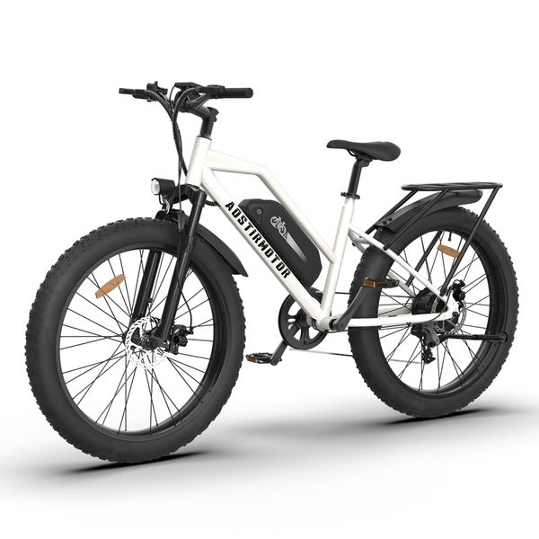 US STOCK AOSTIRMOTOR S07-G Vélo électrique 48V 750W Mountain Ebike 48V 13Ah Batterie 26 pouces 4.0 Gros pneu Couleur-U-LCD Affichage Frein à disque Fourche à suspension avant