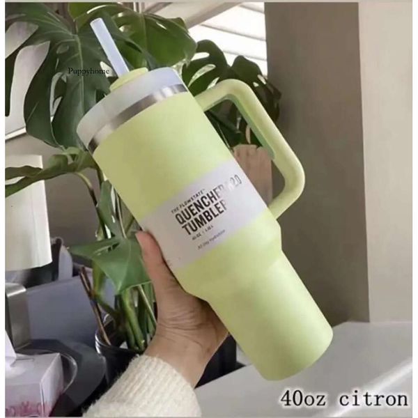 US Stock Citron Mugs de 40oz en acier inoxydable Piscine Gobeurs Gandage du couvercle Paille à grande capacité Bottle Water Bottle pour le camping cadeau de la Saint-Valentin