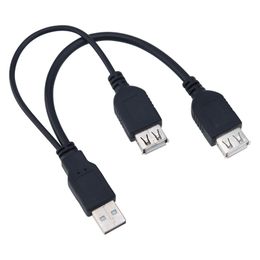 USB 2.0 Type A Male naar 2 Dubbele Dual Voeding USB Vrouwelijke Splitter Verlengkabel HUB Oplaadsnoer voor Harde Schijven Printers