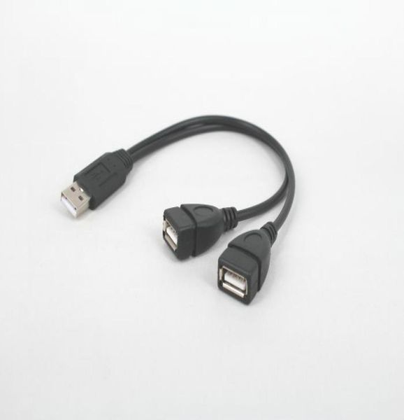 Câble adaptateur USB 20 A mâle vers 2 double USB femelle, séparateur en Y Hub, cordon d'alimentation, 4378921