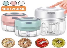 USB -oplaad 100250 ml Mini Elektrische knoflook Chopper Vleesmolen Ginger Mijster Machine Sturd Duurzame Chili Vegetable Crusher Kitc1354459