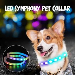 USB Opladen LED Dog Collar Anti-Lost / Vermijd auto-ongelukkraag voor Honden Puppy Collars Leads LED Night Safety Flashing Glow 210712