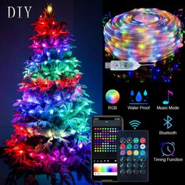 USB-kerstverlichting String Feestverlichting Verjaardagsdecoratie WS2812B RGB Led-licht Dreamcolor String Adresseerbaar Individueel 5V