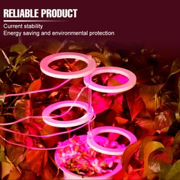 USB élèvent la lumière LED spectre complet plante lampe ampoule Phyto lumière 5V Fitolampy hydroponique pour les plantes en croissance tente éclairage