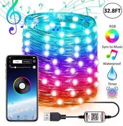 USB LED Copper Draad Licht String Afstandsbediening Licht String Kleur Veranderende Voice Control Waterdichte Tuin Decoratie Kerstverlichting