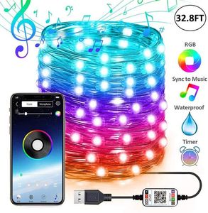 USB led copper wire light string remote control light string color changing voice control waterproof garden decoration Christmas lights