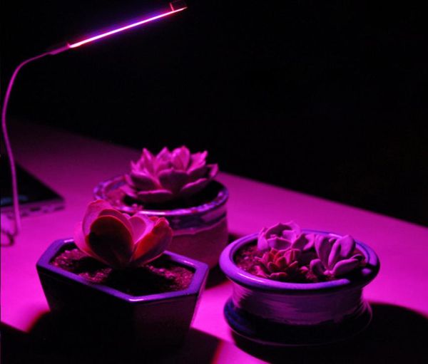 USB led planta Cob plomo luces de cultivo portátil interior luz solar suplemento lámparas ligera jardinería flor cultivo lámpara carne6167679