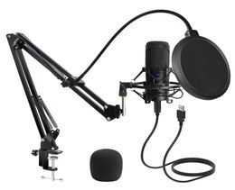 USB-microfooncondensor D80 Opnamemicrofoon met standaard en ringlicht voor pc Karaoke Streaming Podcasting voor YouTube1003897