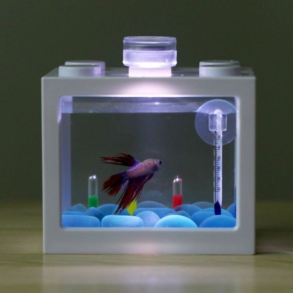 USB Mini Aquarium Aquarium avec lampe à LED lumière maison bureau bureau Table à thé décoration