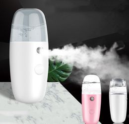 Humidificador de aire recargable por USB, pulverizador de niebla con Alcohol, vaporizador facial Nano de agua de mano para coche, hogar, actualización, hidratación, Mister Maker9582665