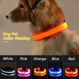 Collier pour animaux de compagnie LED rechargeable par USB clignotant lumineux de sécurité éclairer le collier de chien en nylon Anti-perte collier pour animaux de compagnie chiot Collars284Z