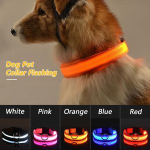 Collier pour animaux de compagnie LED rechargeable par USB clignotant lumineux de sécurité éclairer le collier de chien en nylon Anti-perte collier pour animaux de compagnie chiot Collars284Z