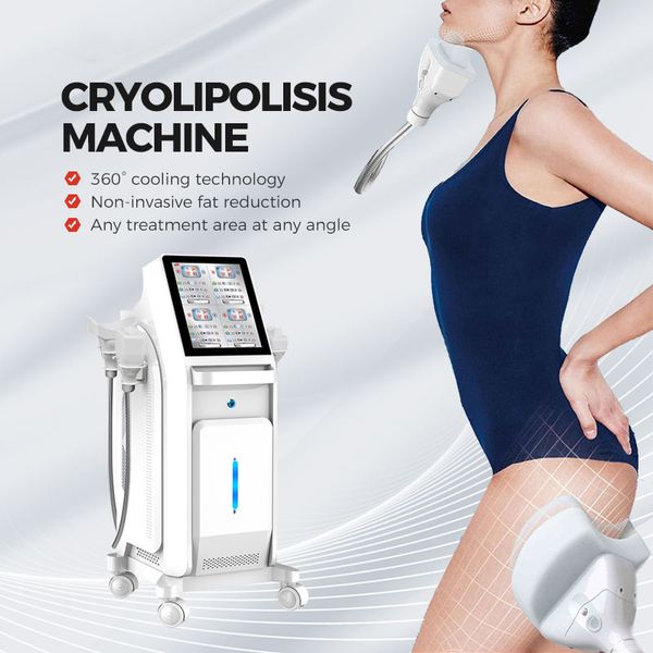 Manuel d'utilisation produits de cryolipolyse approuvés traitement de congélation des graisses machines amincissantes équipement de mise en forme du corps 2 ans de garantie