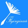 flyinginair store