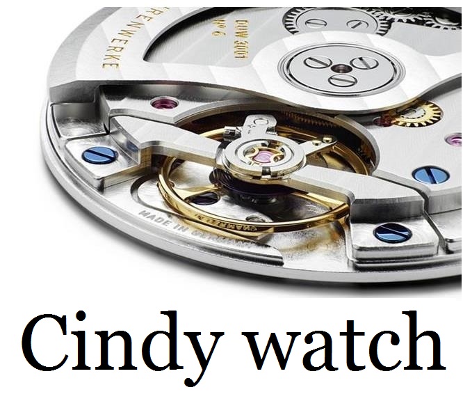 cindywatch store