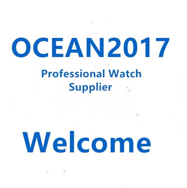 ocean2017 store