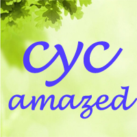 cyc_amazed store