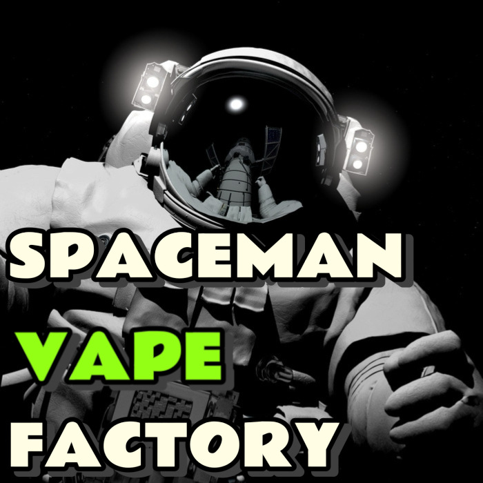spacemanvape store