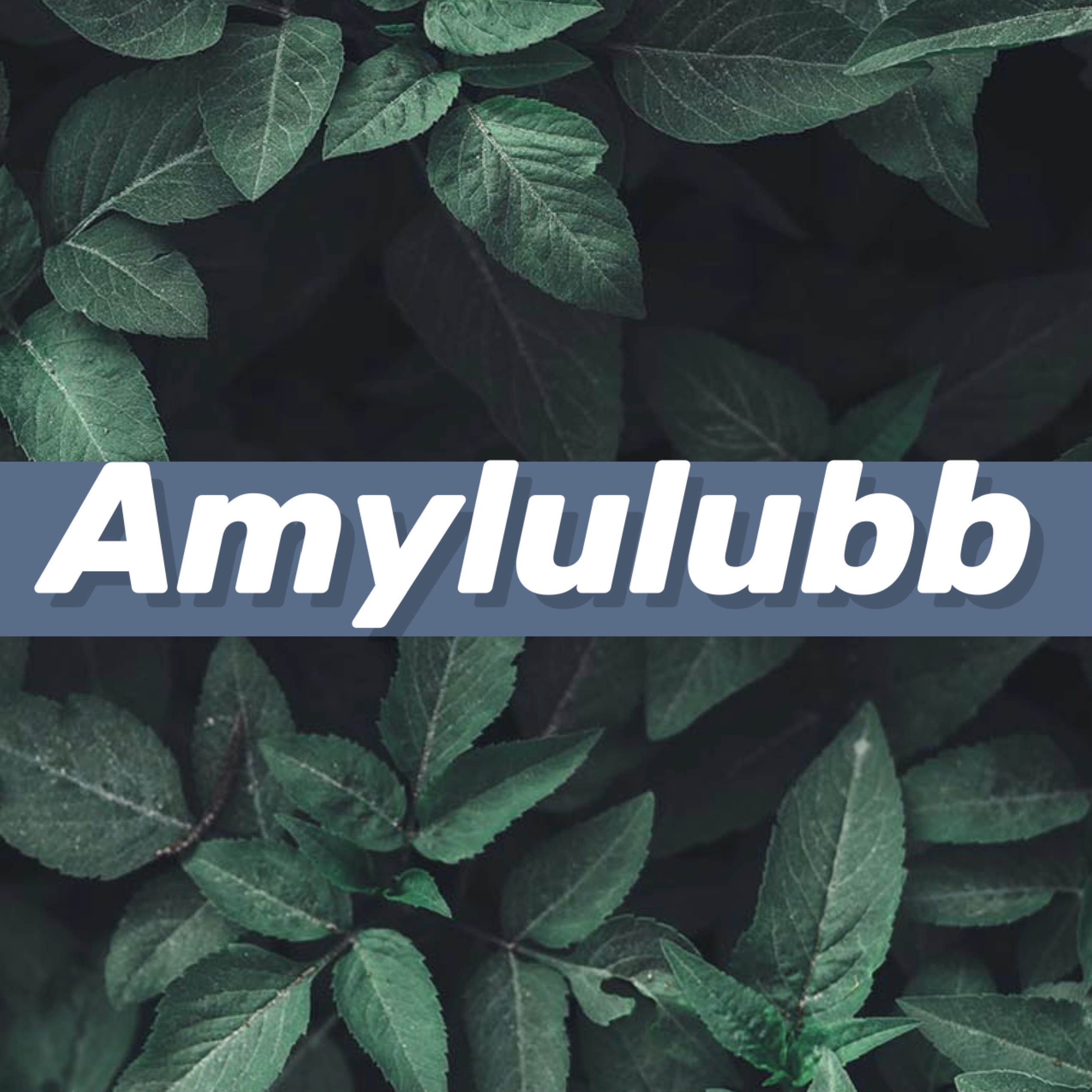 amylulubb store