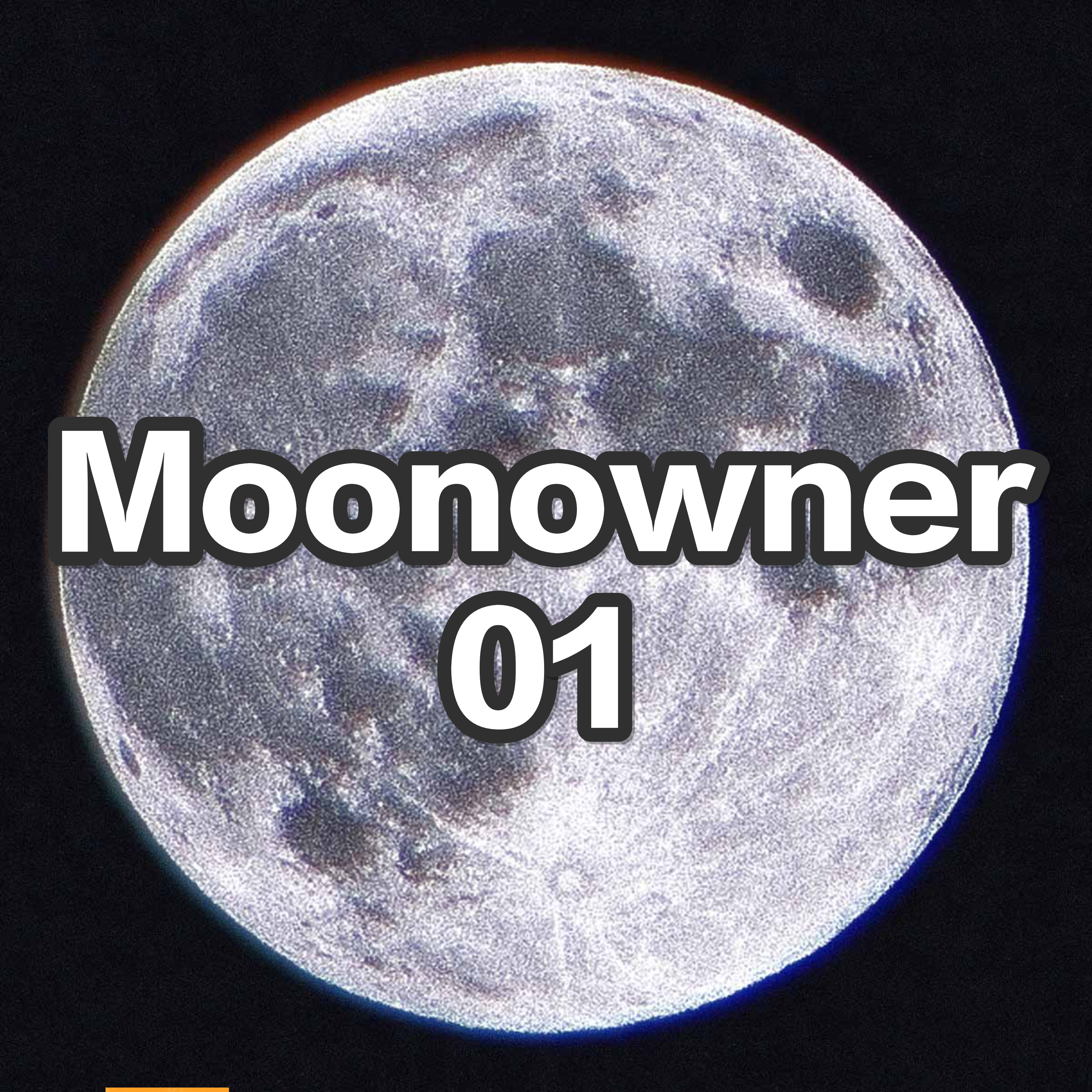 moonowner01 store