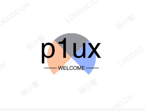 p1ux store