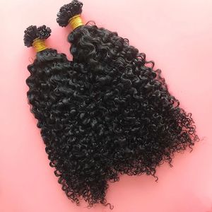 UTIP Hair Maleisische Remy Human Pre Bonded U Nail Tip in 100 strengen per pack 240419