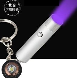 Mini lampe de poche LED porte-clés UV 395nm lampe de poche lumière violette lumineuse minuscule lumière de secours ultra violet détection d'argent ultraviolet EDC lampe torche LED