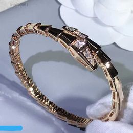 v Gold vergulde Mijin Bot Bracelet Head and Tail Diamonds Handgemaakte inleg high -end luxe goede kwaliteit mode32