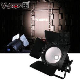 V-Show IP65 exterior Blanco/cálido 2 en 1 200W Cob luz par led impermeable para luz de dj