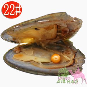 Vacuüm verpakte zoetwater driehoek parel oester, parel aaaa6-7mm kleur is # 22 oranje, veel kleuren kunnen worden geplukt (gratis verzending)